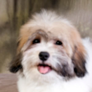 Meet your Posher, Kathryn